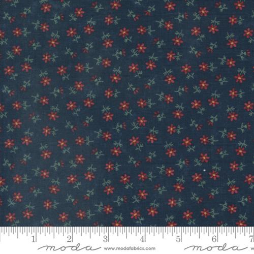 Daisy Lane Bluebell  Kansas Trouble Quilters  Moda Fabrics   Red    Blue