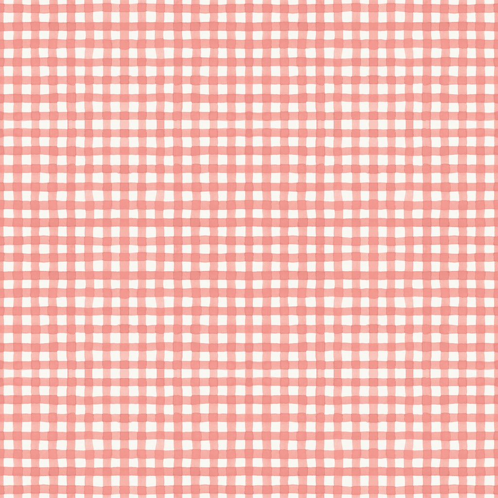 Countryside  Riley Blake Designs Lisa Audit Countryside Gingham Coral  Coral Cream 