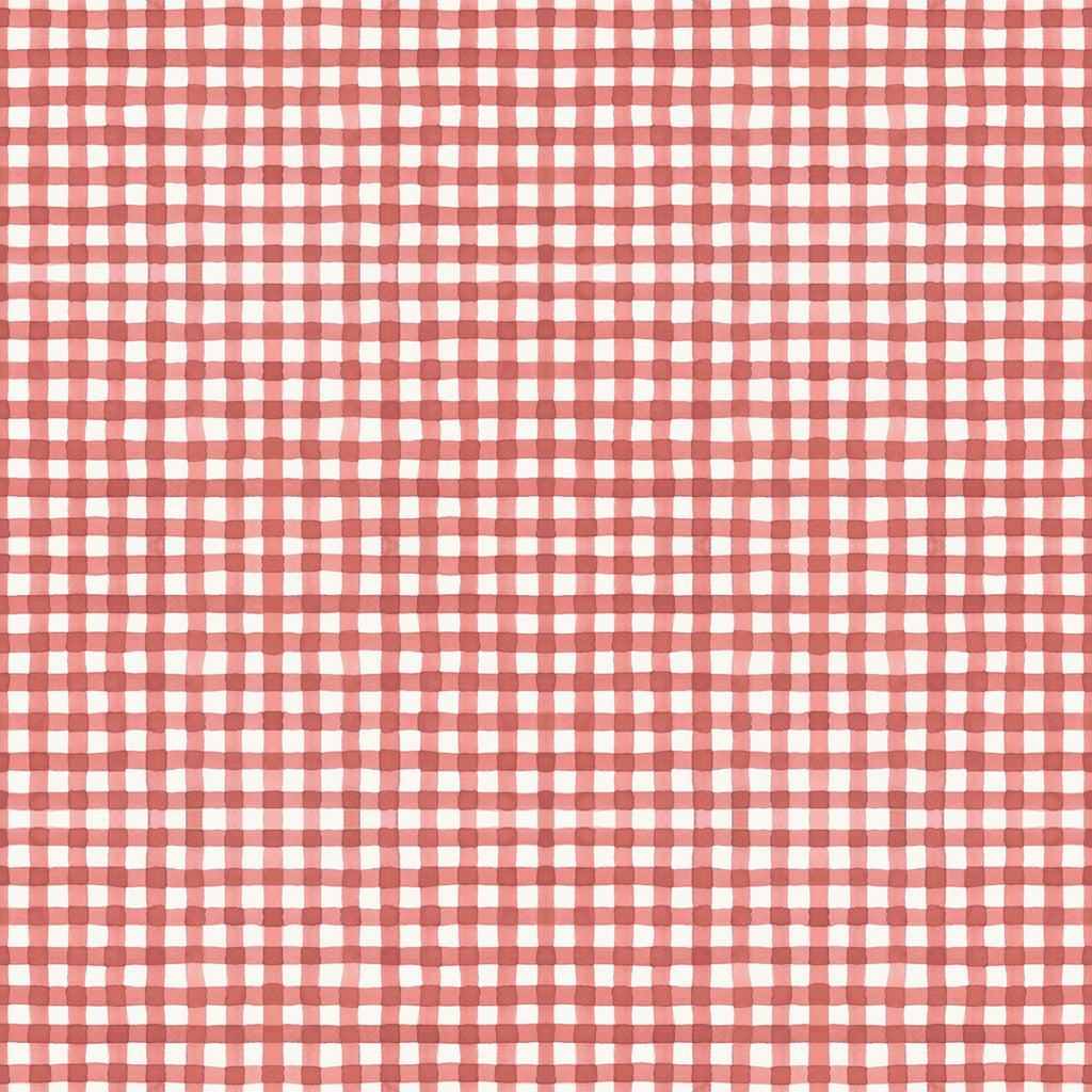 Countryside  Riley Blake Designs Lisa Audit Countryside Gingham Red  Red Cream