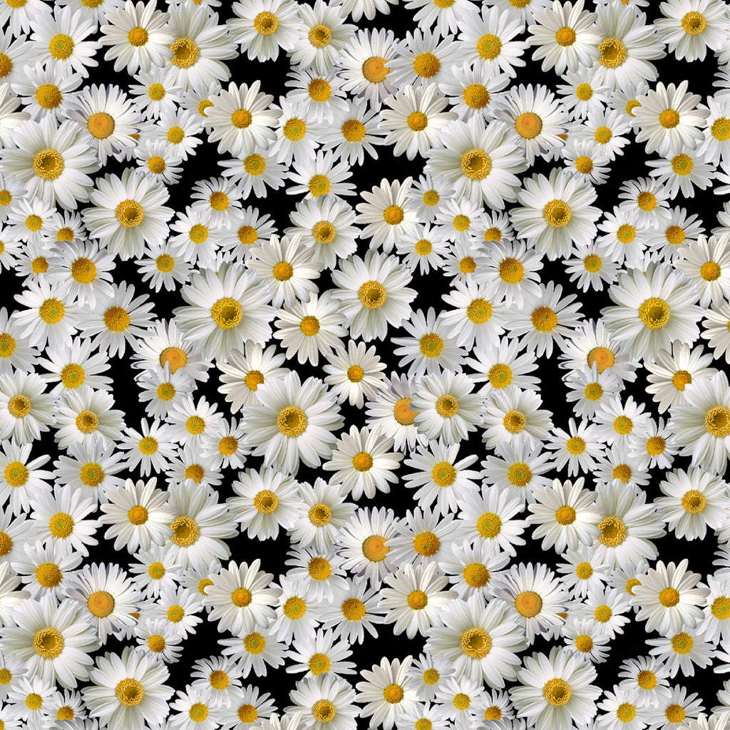 Advice from a sunflower Black Blooming Packed Daisys # CD2926-BLACK