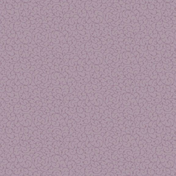 Plumberry Farms - Marcus - Pam Buda - Lilac Shadow - Lt. Purple